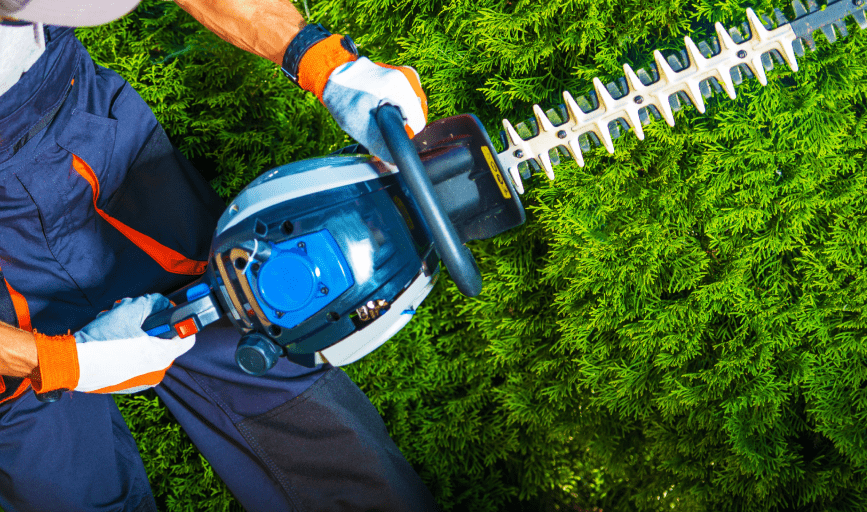SHRUB TRIMMING